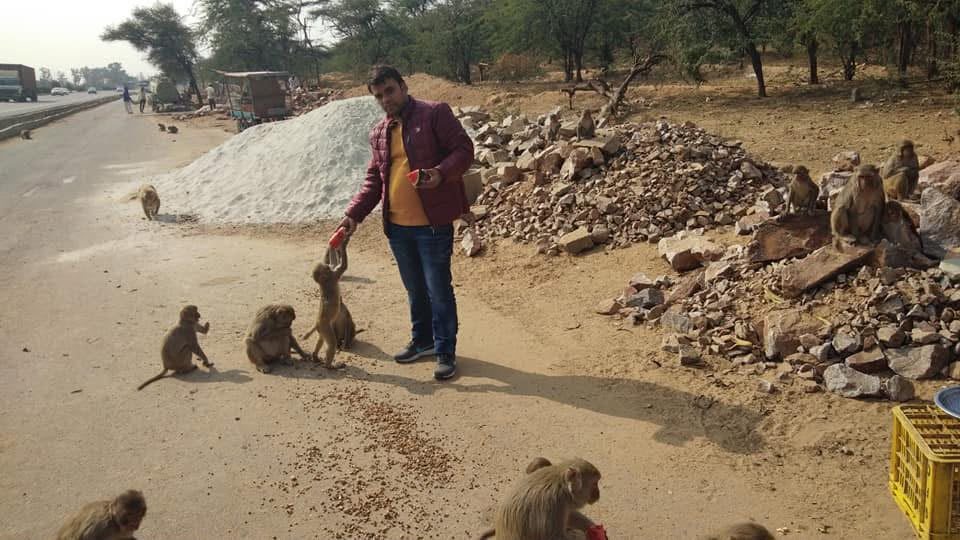 Animal Care