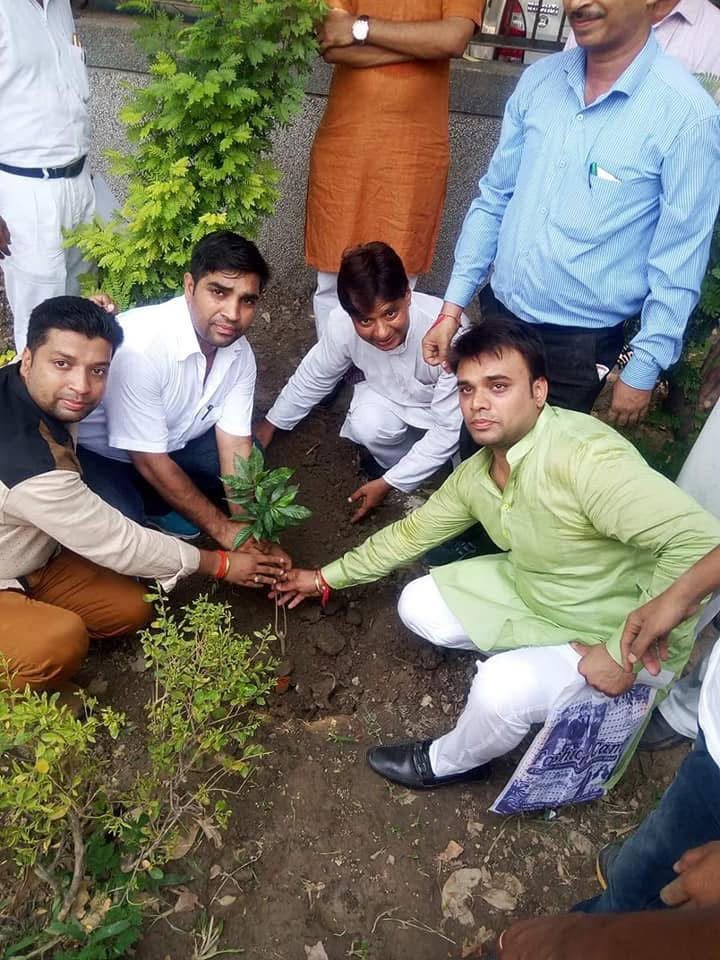 Tree Plantation